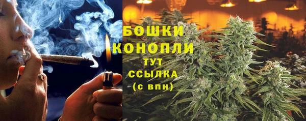 молекула духа Бугульма