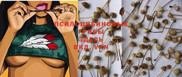 бутират Бородино