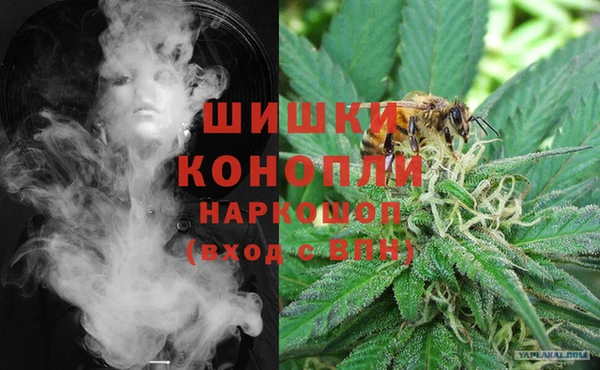 молекула духа Бугульма