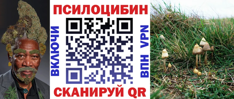 Галлюциногенные грибы прущие грибы  Крым 