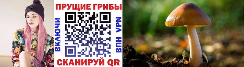Галлюциногенные грибы Magic Shrooms Крым